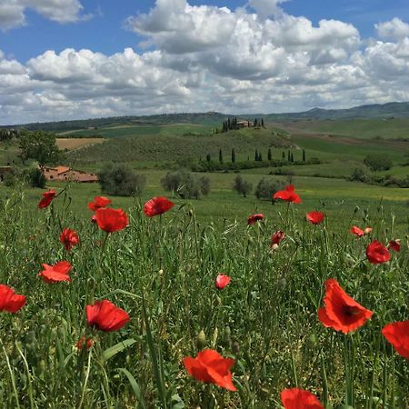 Apartamento Residenza d'Epoca La Rosa Pienza Exterior foto