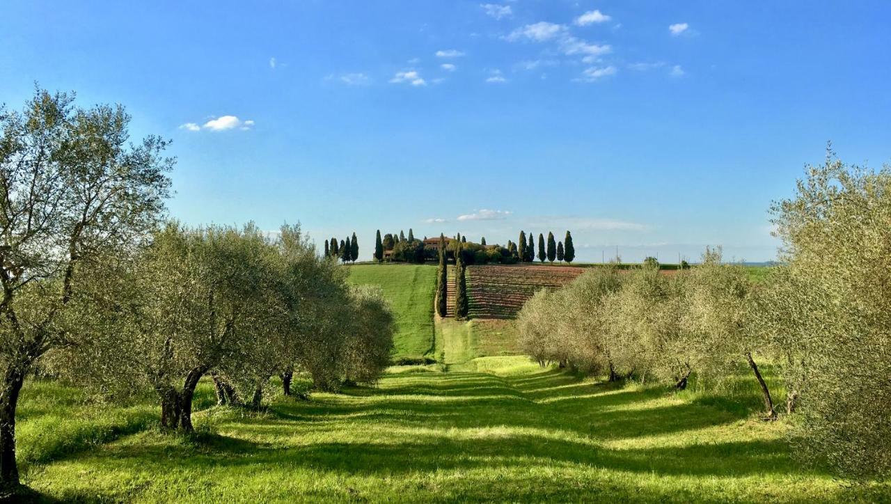 Apartamento Residenza d'Epoca La Rosa Pienza Exterior foto