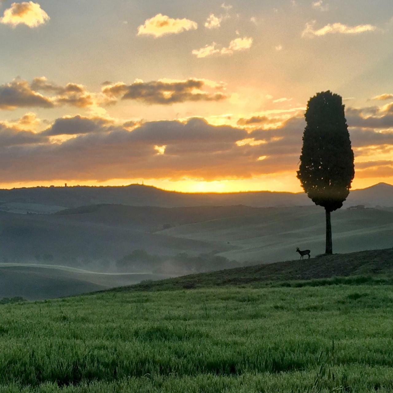 Apartamento Residenza d'Epoca La Rosa Pienza Exterior foto