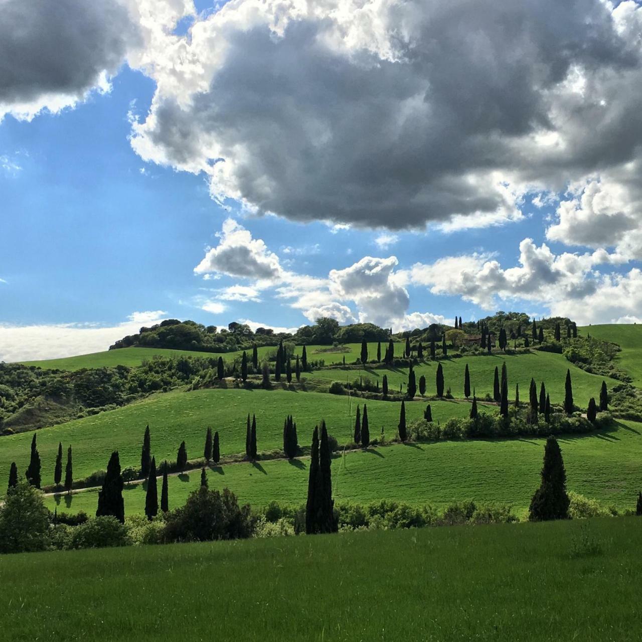 Apartamento Residenza d'Epoca La Rosa Pienza Exterior foto
